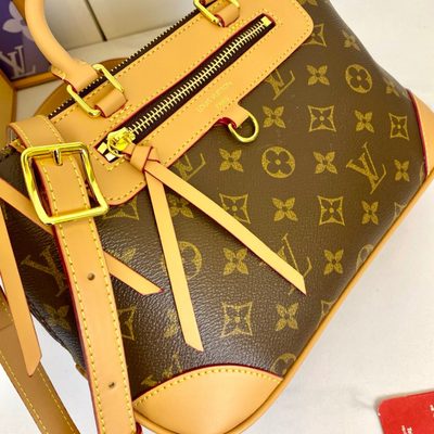 Louis Vuitton Bag — 6