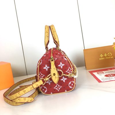 Louis Vuitton Bag — 5