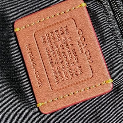 Coach Bag — 6