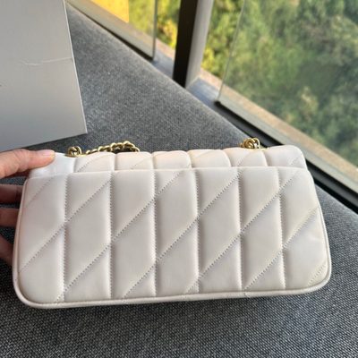 Coach Bag — 4