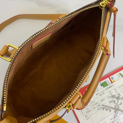 Louis Vuitton Bag — 9