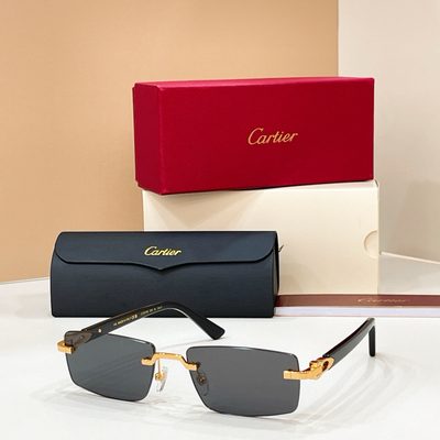 Cartier Sunglasses — 3