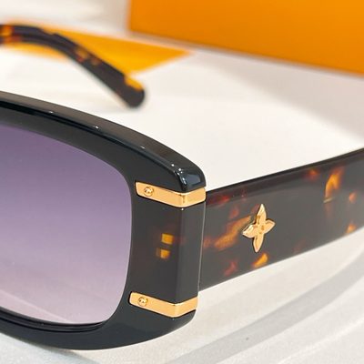 LV Sunglasses — 6