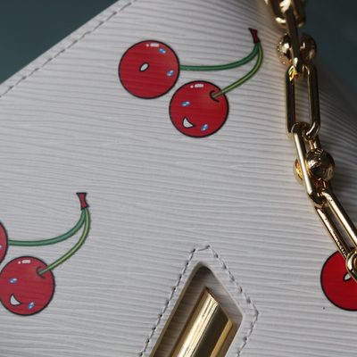 Louis Vuitton Bag — 5