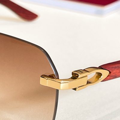 Cartier Sunglasses — 9