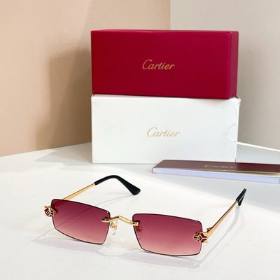 Cartier Sunglasses — 4