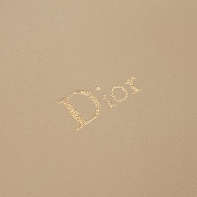 Dior Bag — 4