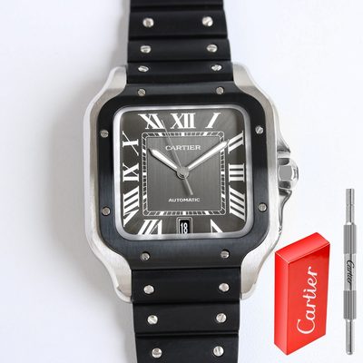 Cartier Watch