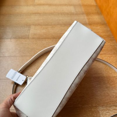 Coach Bag — 5