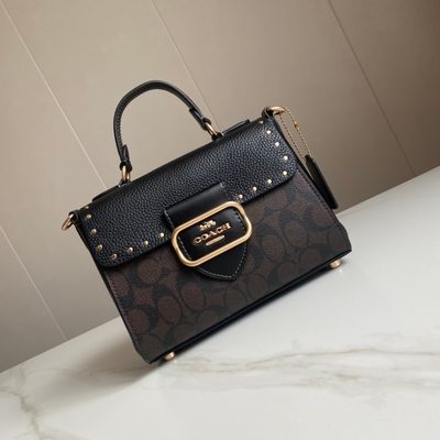 Coach Bag — 11