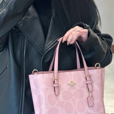 Coach Bag — 8