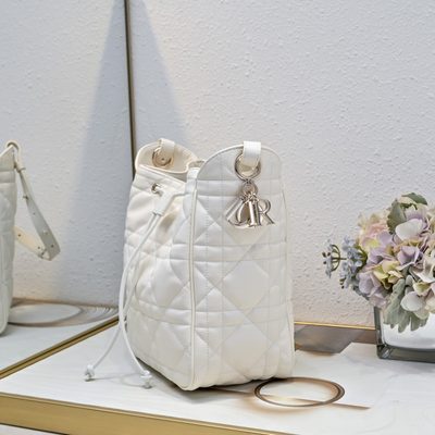Dior Bag — 4