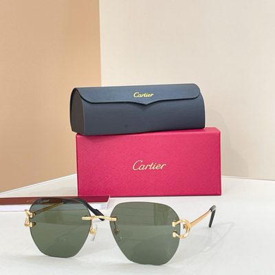 Cartier Sunglasses — 3