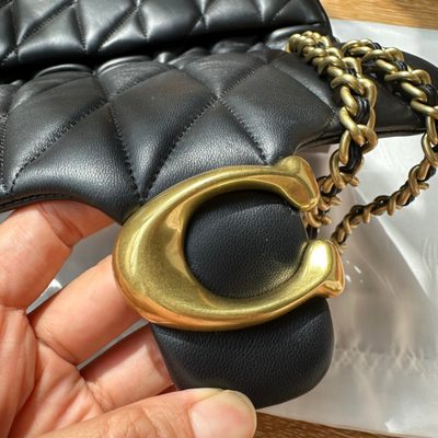 Coach Bag — 6