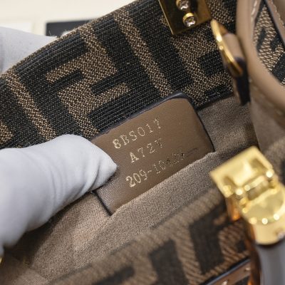Fendi Bag — 7