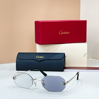 Cartier Sunglasses — 5
