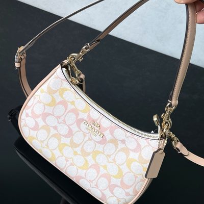 Coach Bag — 4