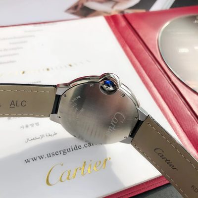 Cartier Watch — 6