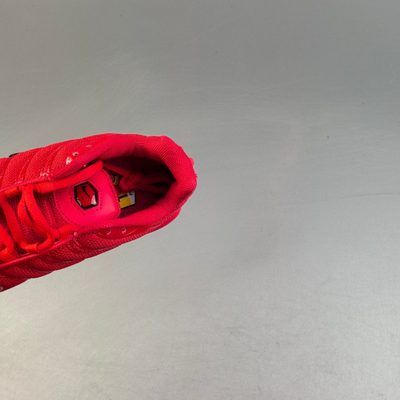 Nike Air Max Plus trainers — 8