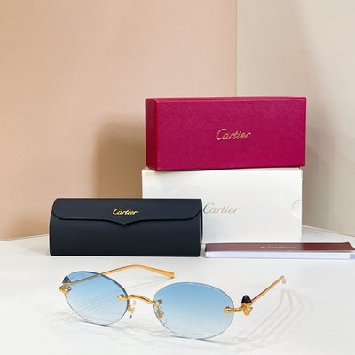 Cartier Sunglasses — 4
