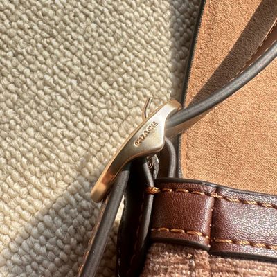 Coach Bag — 14