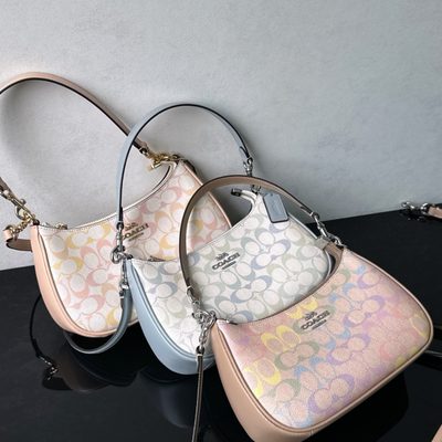 Coach Bag — 4