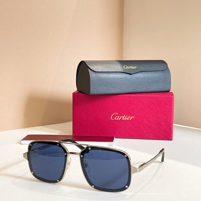 Cartier Sunglasses — 6