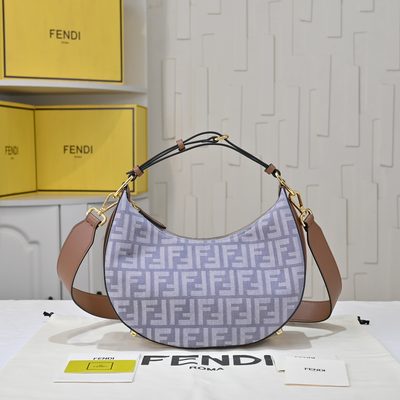 Fendi Bag — 10