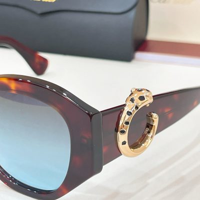 Cartier Sunglasses — 5