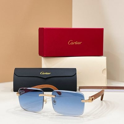 Cartier Sunglasses — 3