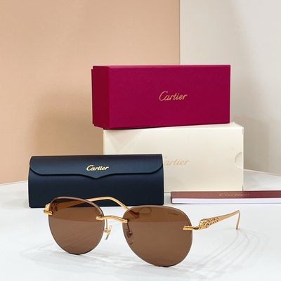 Cartier sunglasses — 6