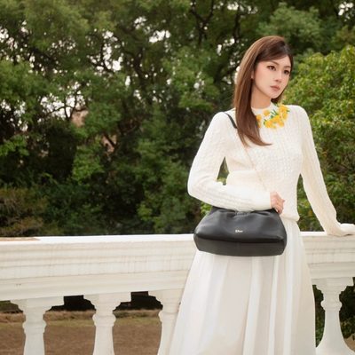 Dior Bag — 9