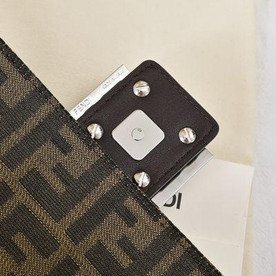 Fendi Bag — 6