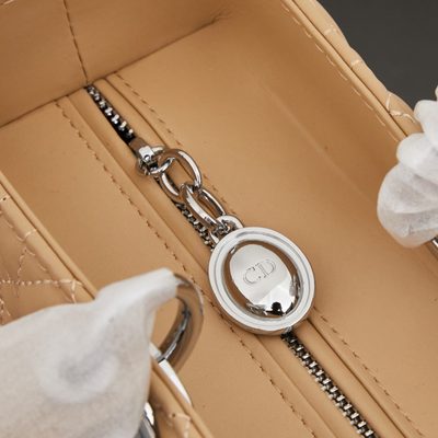 Dior Bag — 7