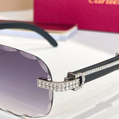 Cartier Sunglasses — 9