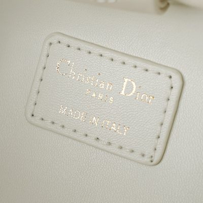 Dior Bag — 8