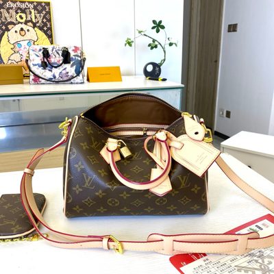 Louis Vuitton Bag — 4
