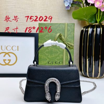 Gucci Bag