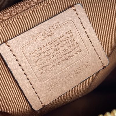 Coach Bag — 8