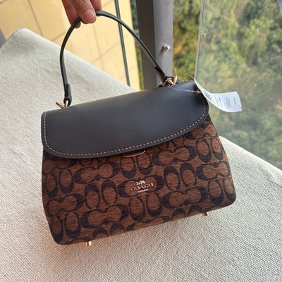 Coach Bag — 4