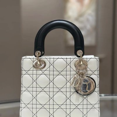 Dior Bag — 8