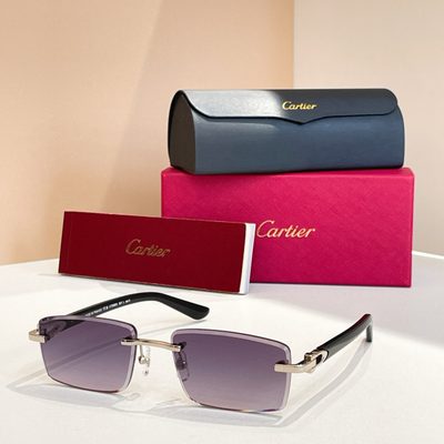 Cartier Sunglasses — 6