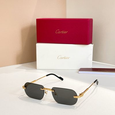 Cartier Sunglasses — 3