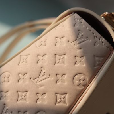 Louis Vuitton Bag — 8