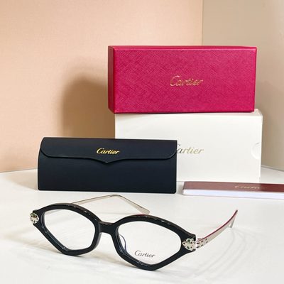 Cartier Sunglasses — 4