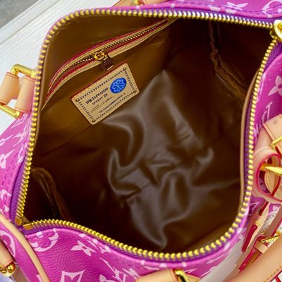 Louis Vuitton Bag — 9
