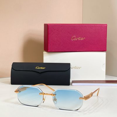 Cartier Sunglasses — 5