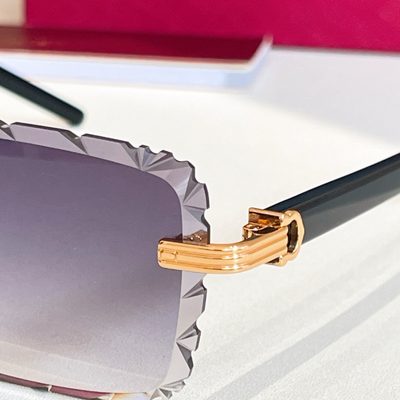 Cartier Sunglasses — 9
