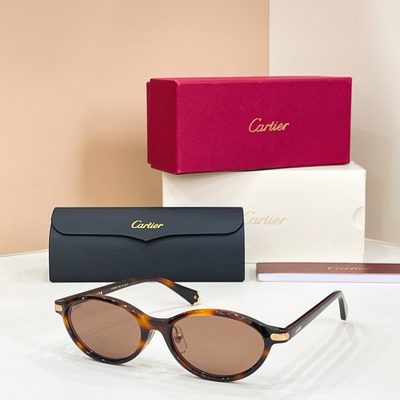 Cartier Sunglasses — 5