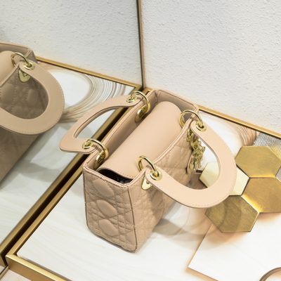 Dior Bag — 6